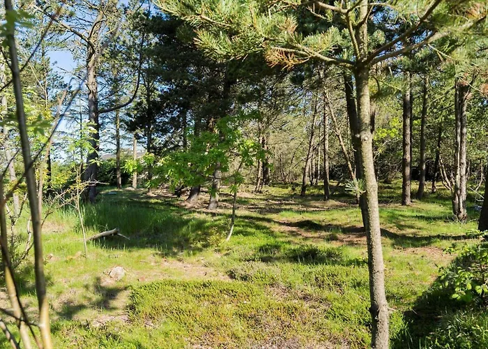 Ferienhaus Lf722-hurup-thy-haettemagevej-22 Sindrup